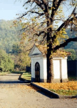 Kaplika v severovchodn sti nvsi